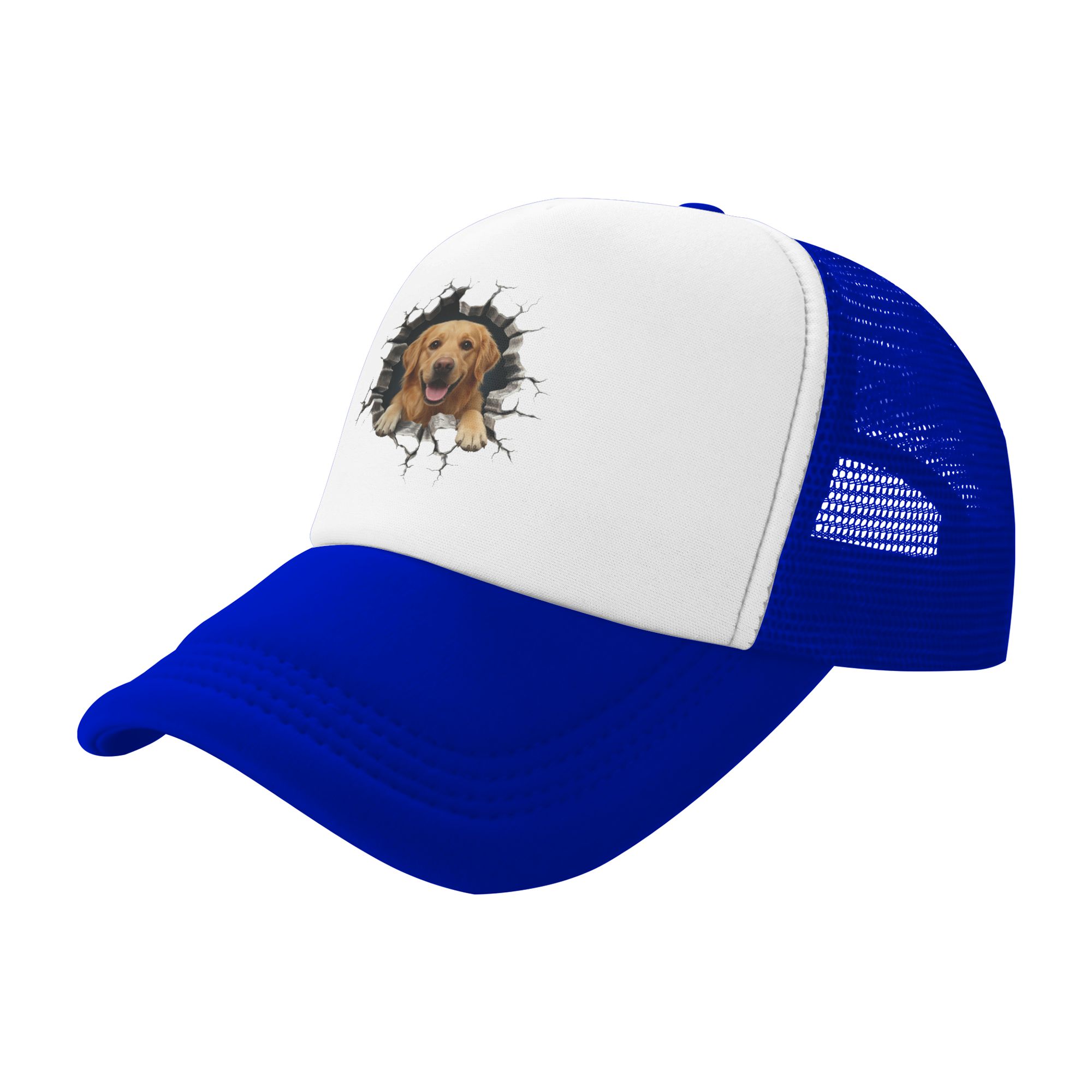 Breaking Through Golden Retrie – Hat Snapback Cap Bewertung und Preis